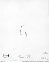 Historisches Foto (Rückseite) von Laeviprosopon sp. (NHMW-AFW-GEO-BACHMAYER-FOTO-1990-0041-2076)